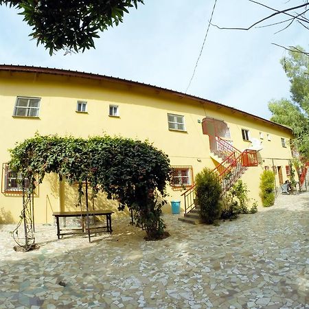 Sanchaba Yellow Apartments Kololi Dış mekan fotoğraf