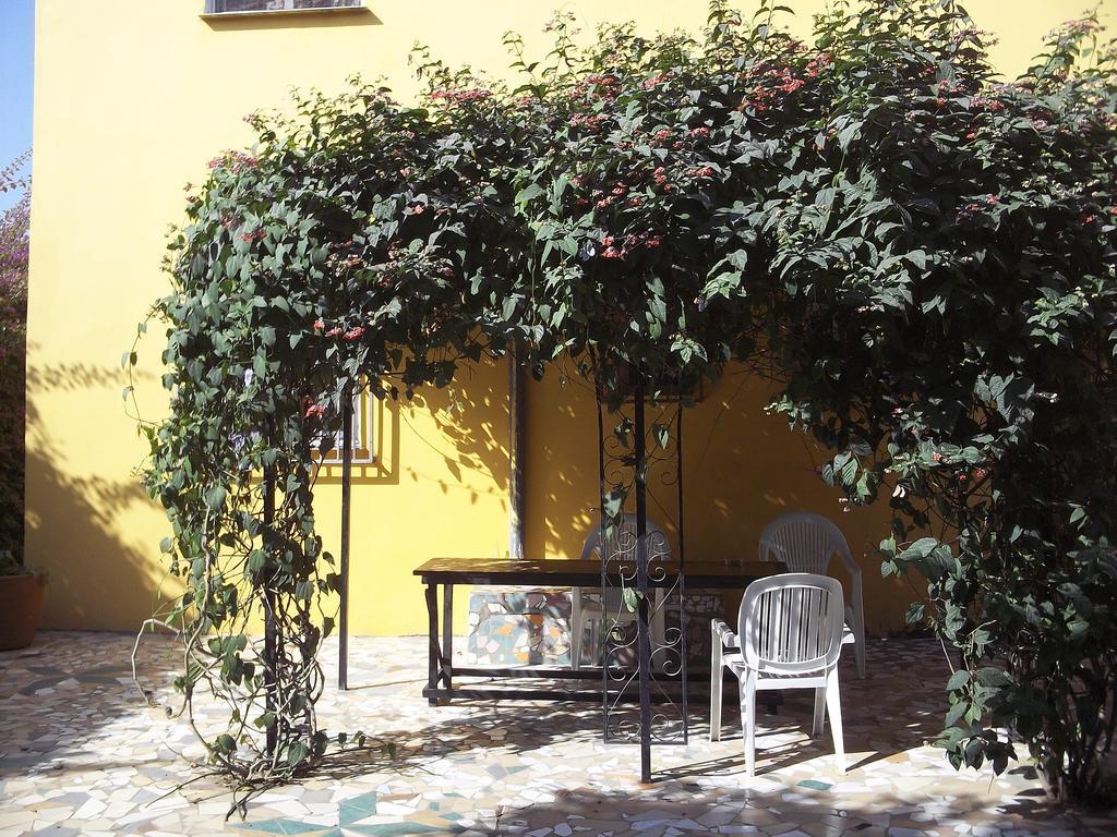 Sanchaba Yellow Apartments Kololi Dış mekan fotoğraf