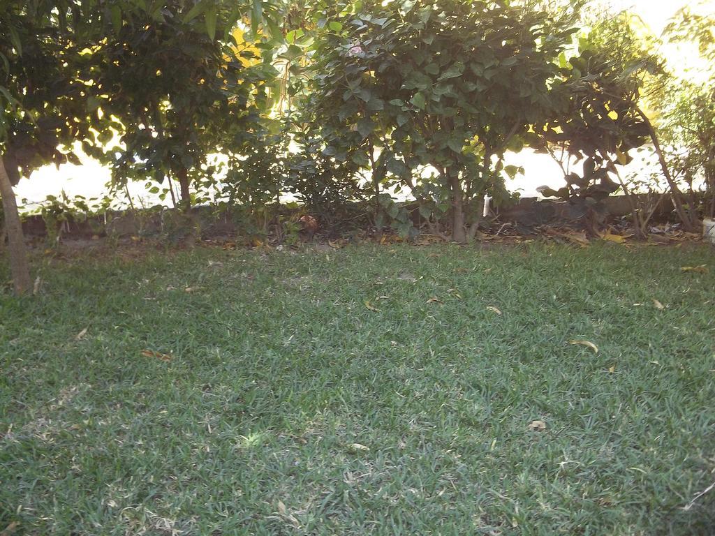 Sanchaba Yellow Apartments Kololi Dış mekan fotoğraf