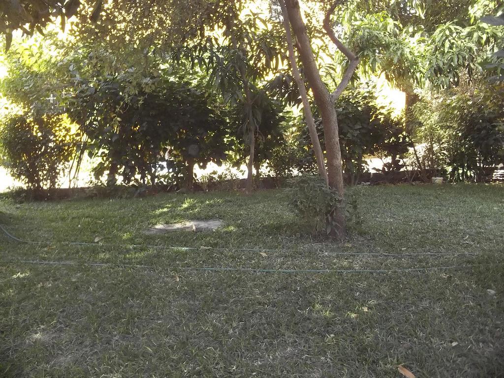 Sanchaba Yellow Apartments Kololi Dış mekan fotoğraf