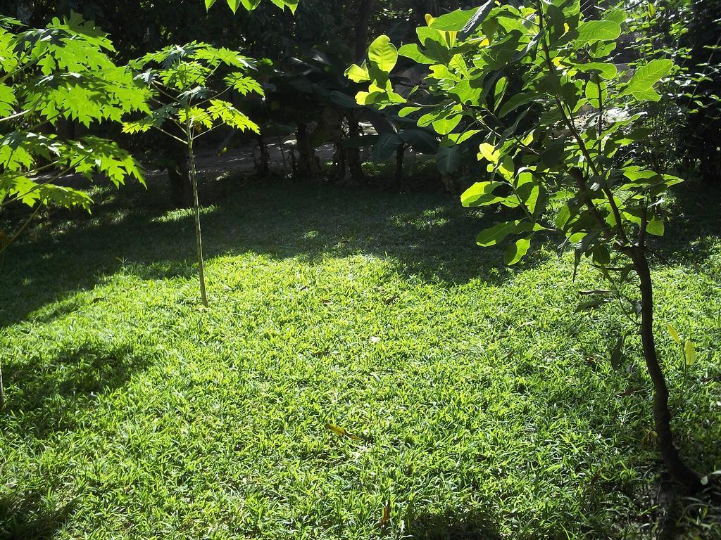 Sanchaba Yellow Apartments Kololi Dış mekan fotoğraf