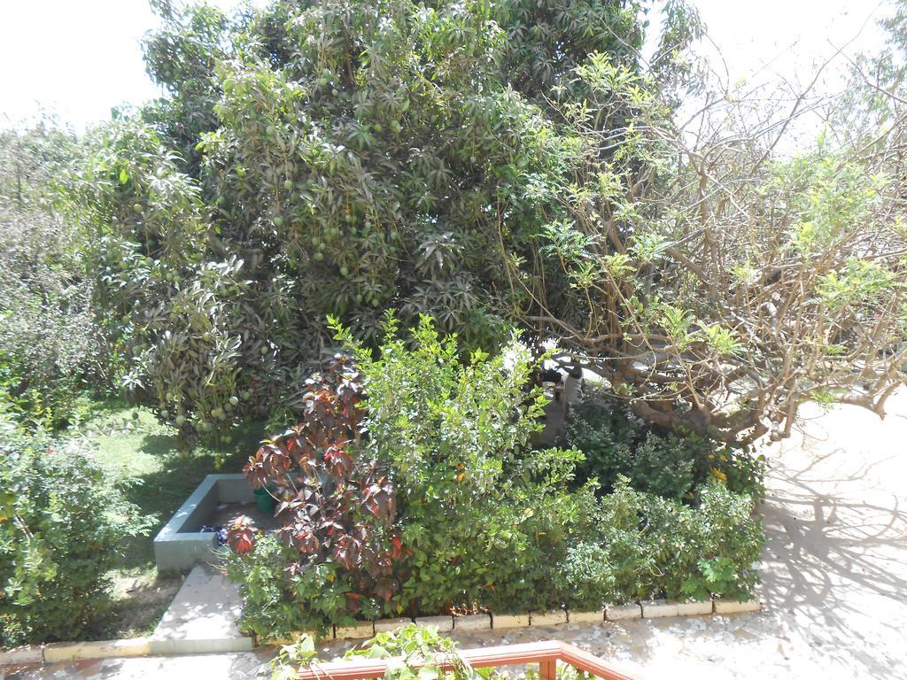 Sanchaba Yellow Apartments Kololi Dış mekan fotoğraf