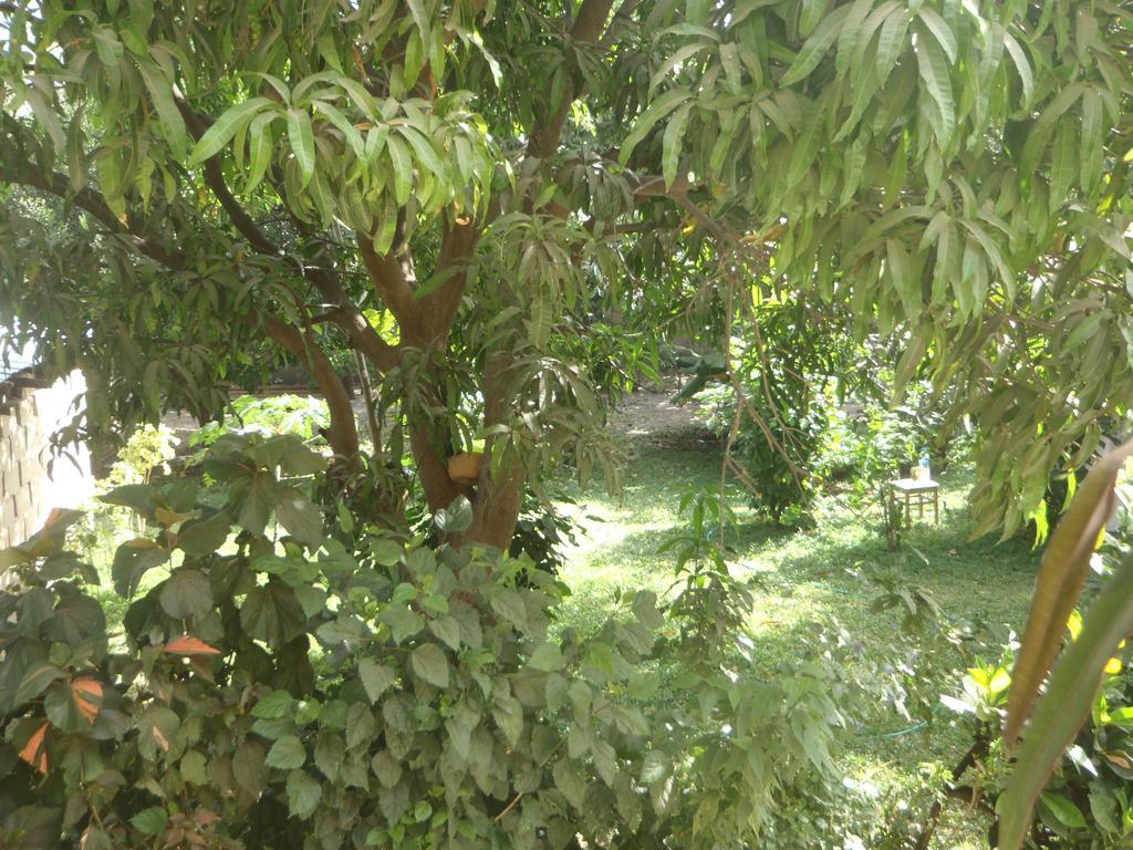 Sanchaba Yellow Apartments Kololi Dış mekan fotoğraf