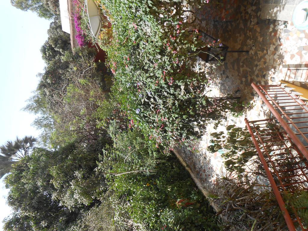 Sanchaba Yellow Apartments Kololi Dış mekan fotoğraf
