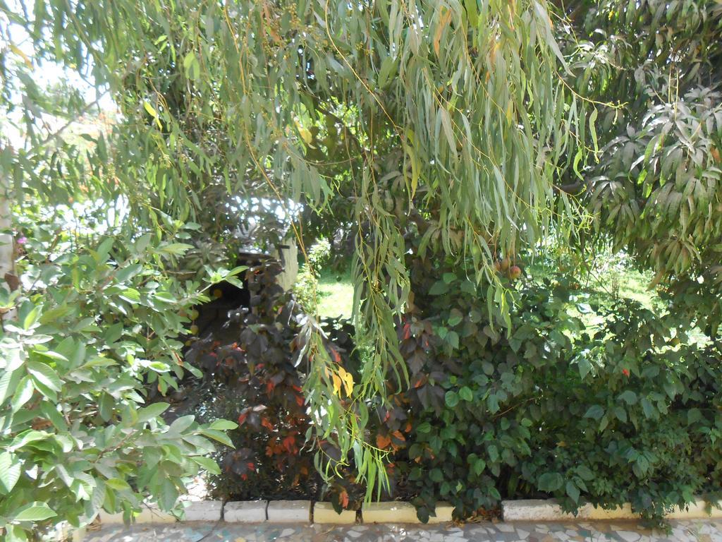 Sanchaba Yellow Apartments Kololi Dış mekan fotoğraf