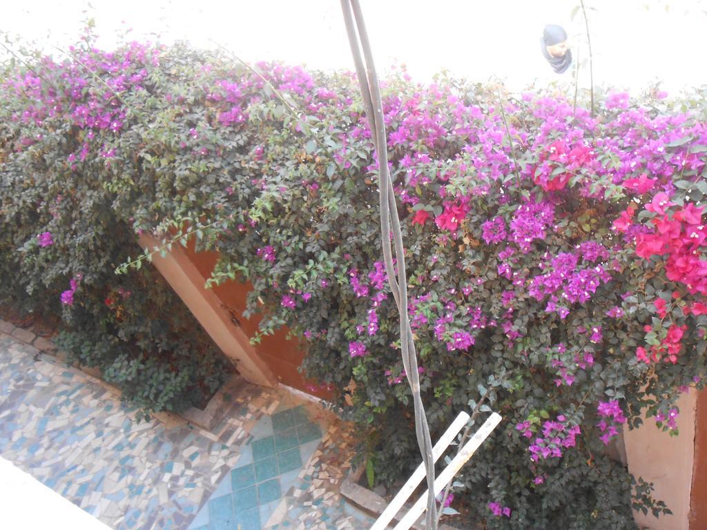 Sanchaba Yellow Apartments Kololi Dış mekan fotoğraf
