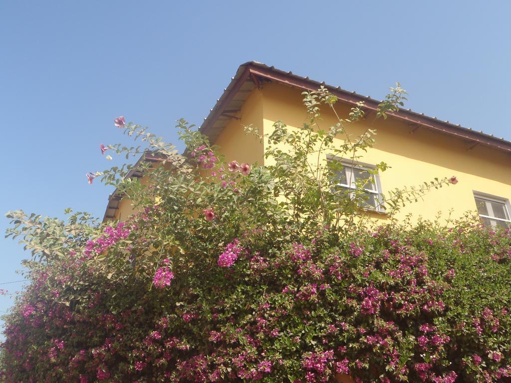 Sanchaba Yellow Apartments Kololi Dış mekan fotoğraf